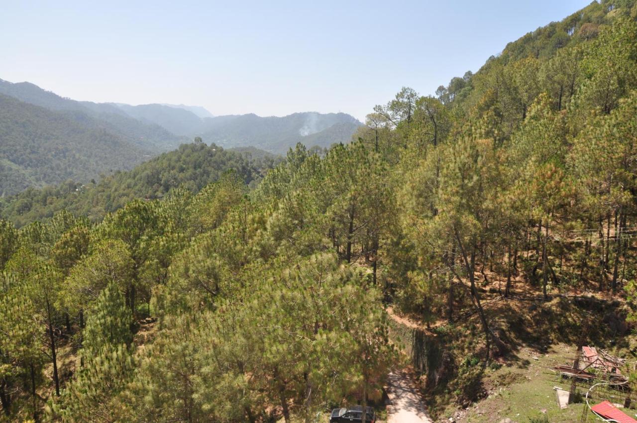 Pine Maderas By Embrace Daire Kasauli Dış mekan fotoğraf