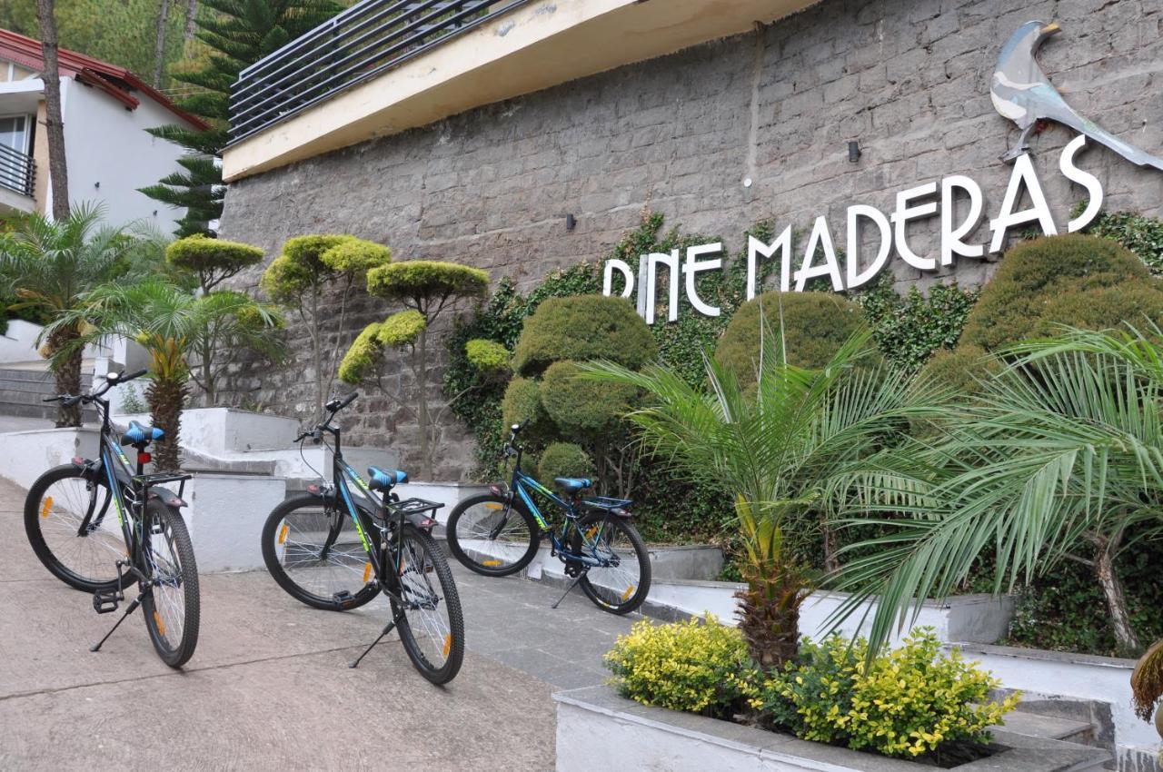 Pine Maderas By Embrace Daire Kasauli Dış mekan fotoğraf