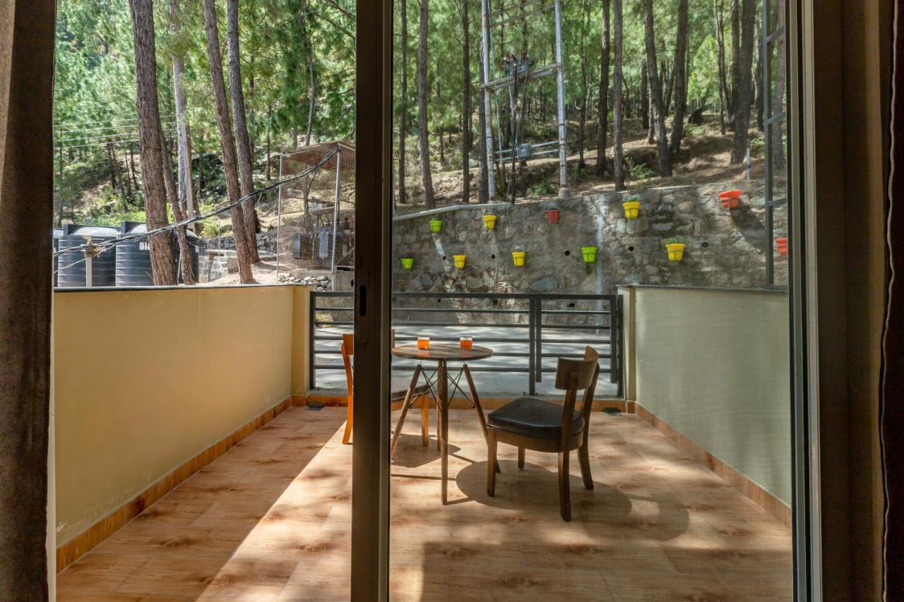 Pine Maderas By Embrace Daire Kasauli Dış mekan fotoğraf