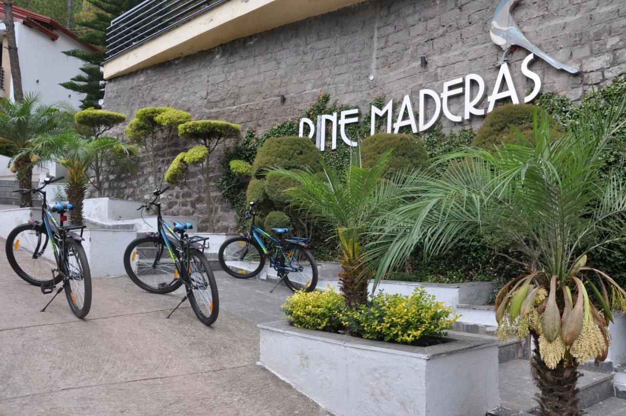 Pine Maderas By Embrace Daire Kasauli Dış mekan fotoğraf