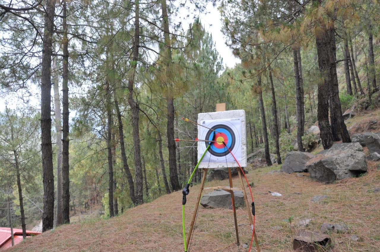 Pine Maderas By Embrace Daire Kasauli Dış mekan fotoğraf