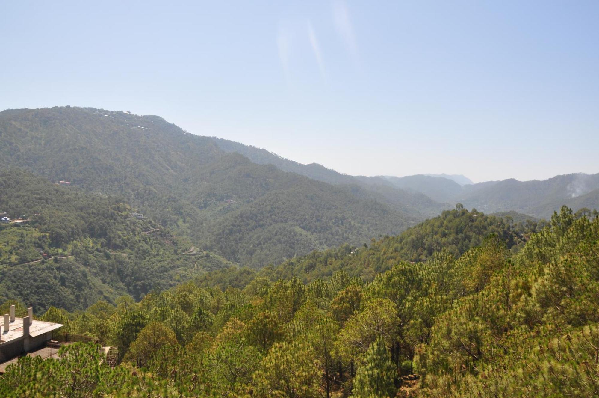 Pine Maderas By Embrace Daire Kasauli Dış mekan fotoğraf
